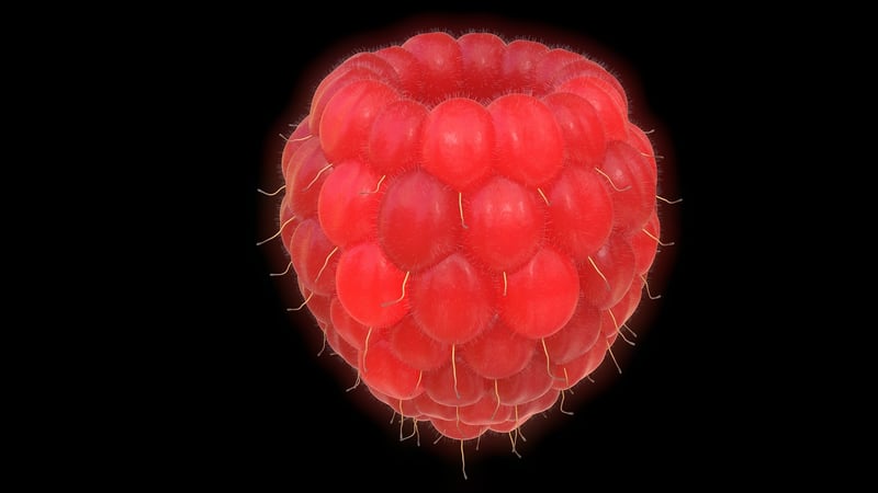 Natural Illustrations
